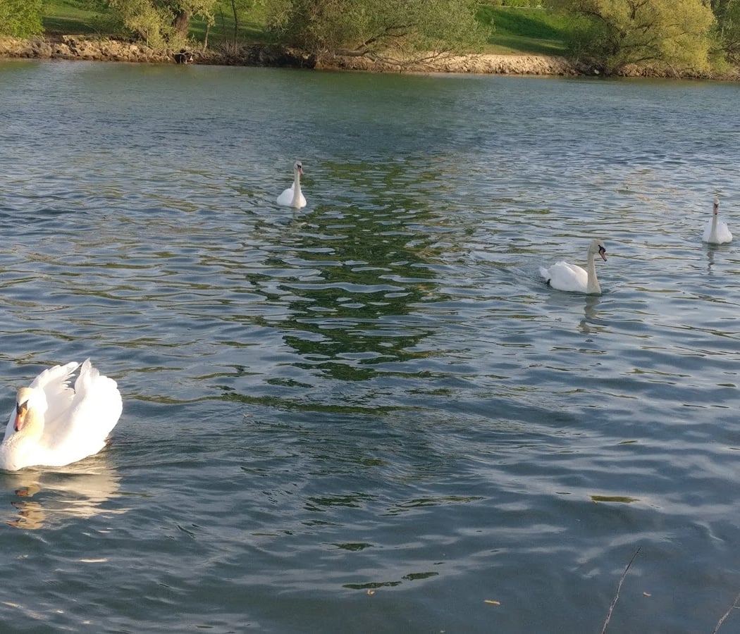 Bords de Marne 2